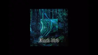 Download Video: 【AI 影片美伽】 black bird ぼくのりりっくのぼうよみ