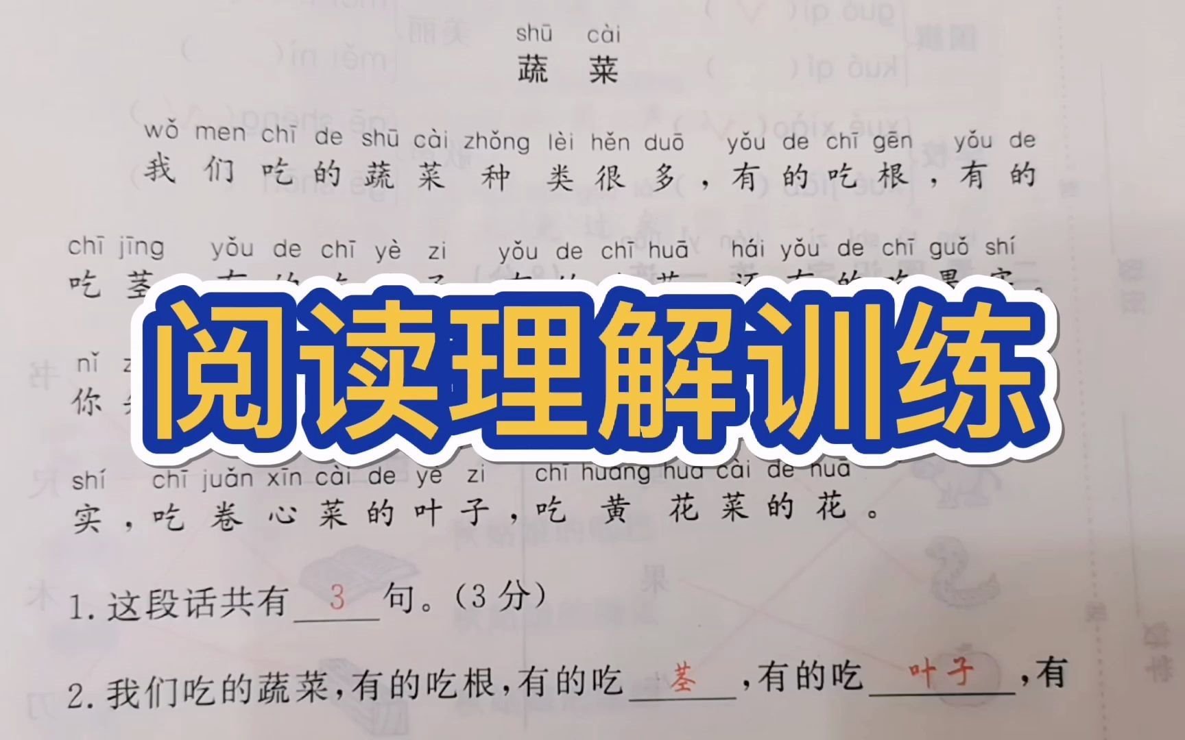 一年级上册期末试卷考点,阅读理解是重点,很容易丢份哔哩哔哩bilibili