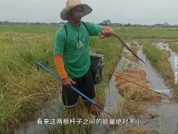 Скачать видео: 用新能源抓黄鳝