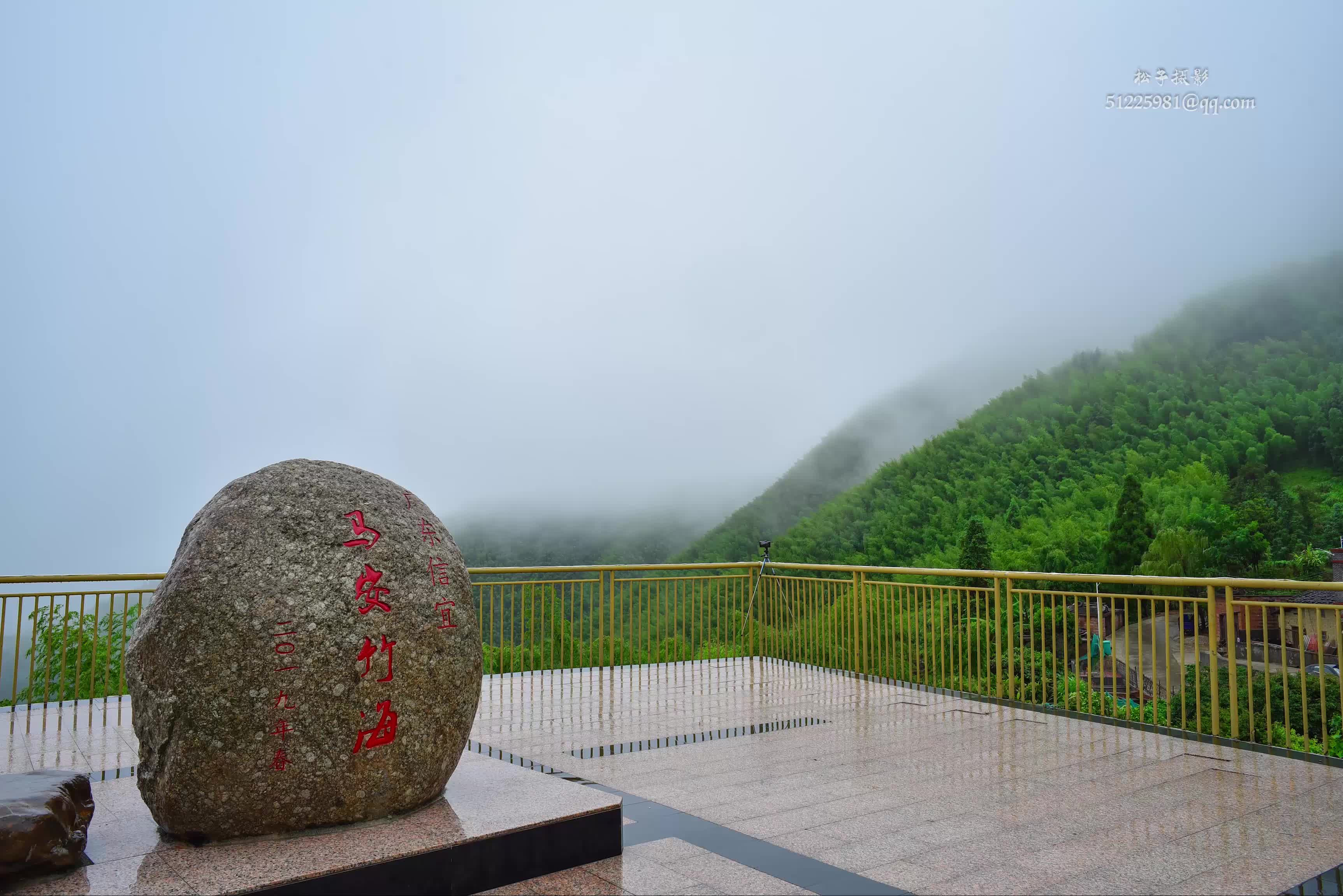 信宜竹海风景区图片