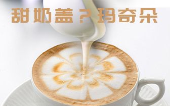 一点点玛奇朵甜奶盖的做法+奶茶制作奶茶配方哔哩哔哩bilibili