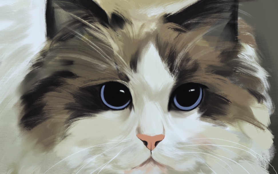 【板绘】一只布偶猫