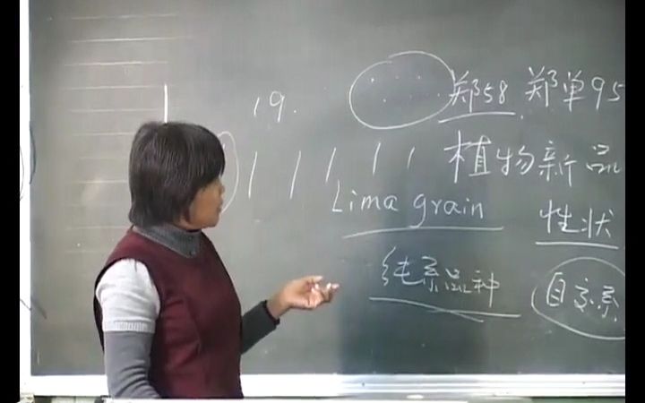 1.2绪论2作物育种学的发展哔哩哔哩bilibili