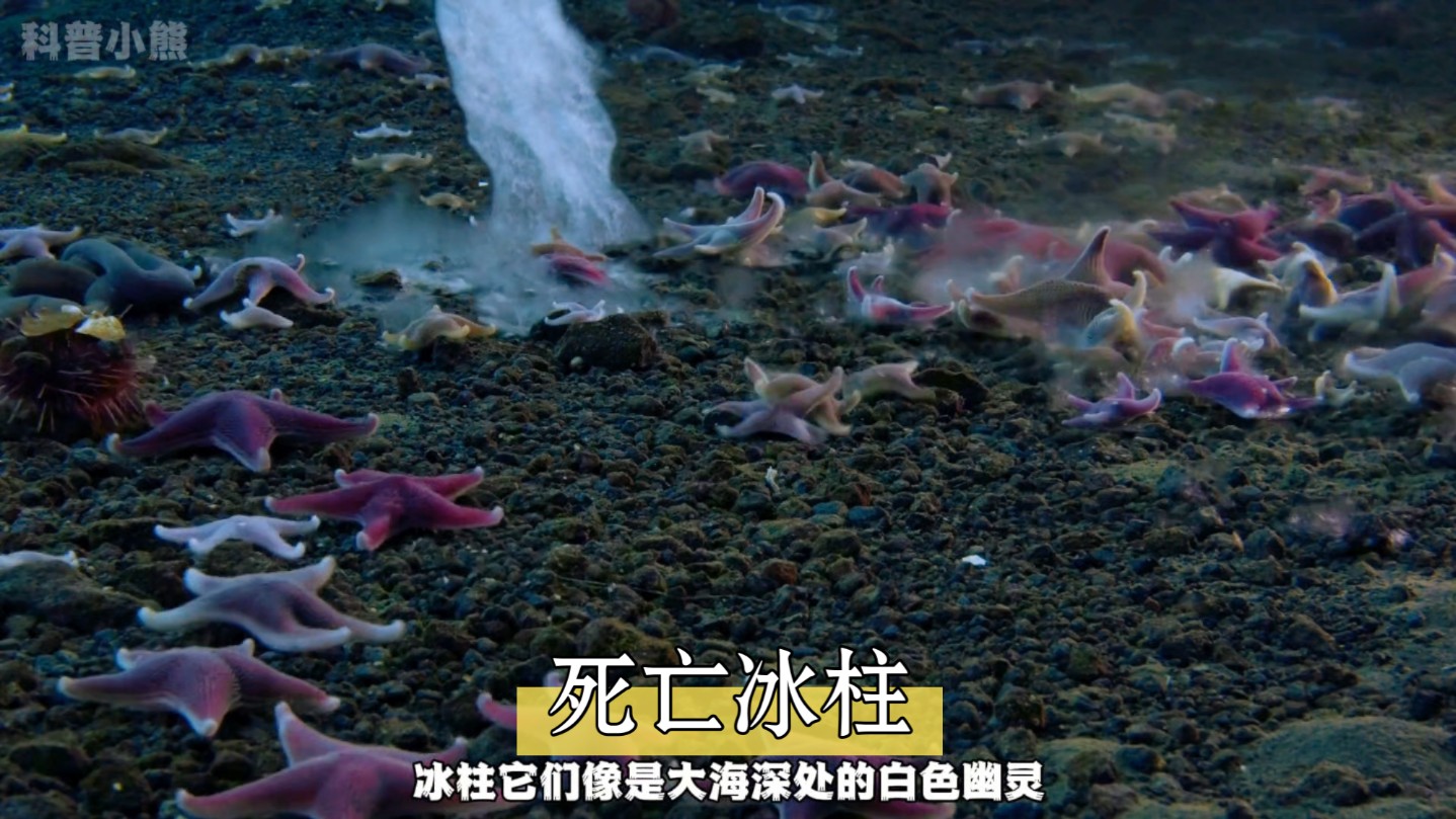 海底白色幽灵死亡冰柱