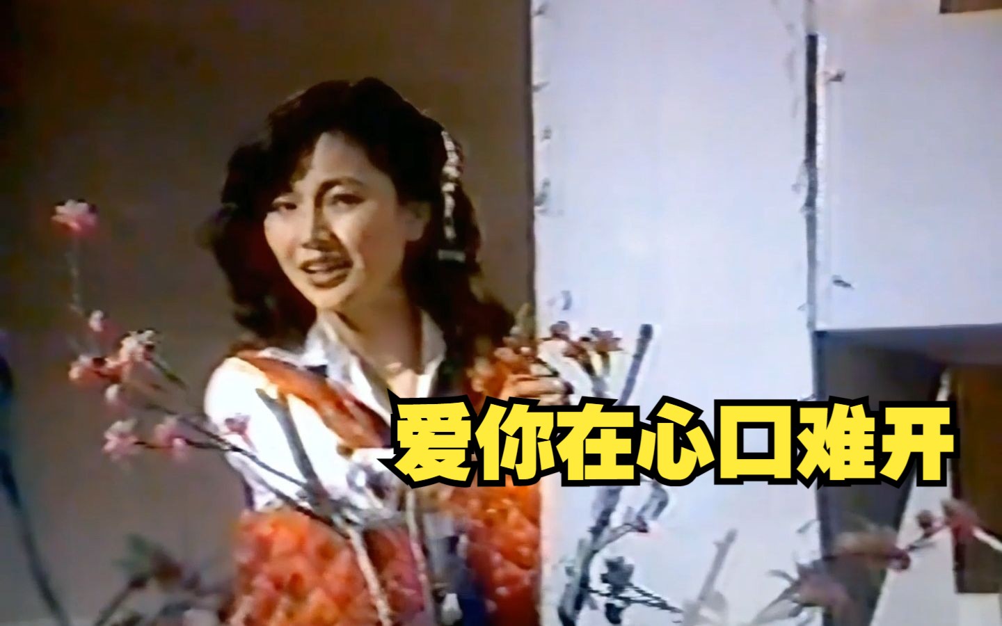 [图]凤飞飞 1981《爱你在心口难开》   中视《欢乐假期》棚内