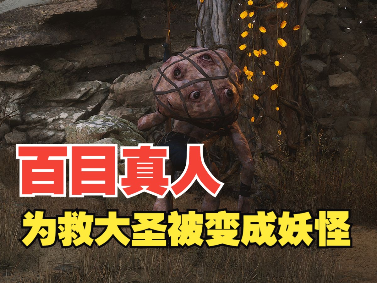 他为救大圣而来，缺最终变成了怪物