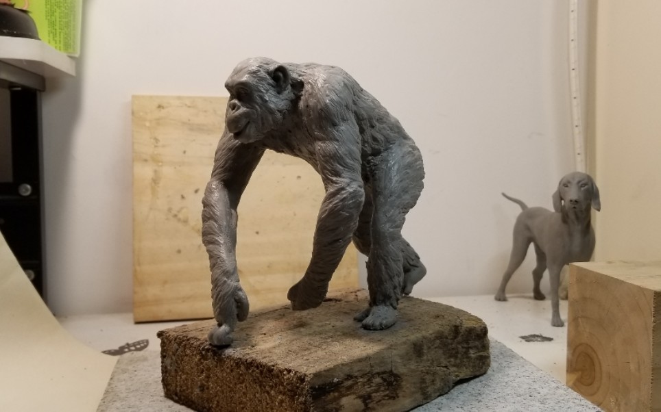 【精雕油泥】 渣渣学做动物雕塑,被油泥无情支配( °77° )