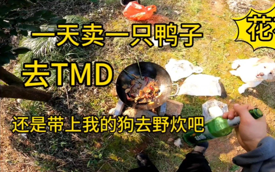 干一天卖一个鸭子,兄弟们进来给我点点赞吧,心力交瘁,殚精竭虑、疲惫不堪、筋疲力尽、筋疲力竭、神劳形瘁、劳形苦心、心如死灰、无可救药,无力回...