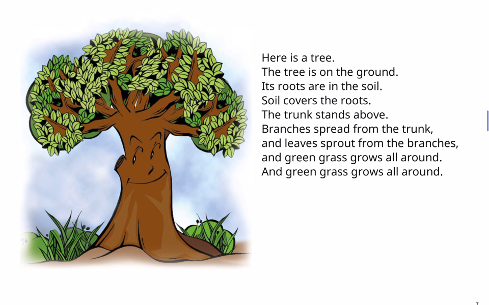 【每天读一页英文绘本】第7页 the tree介绍一颗大树