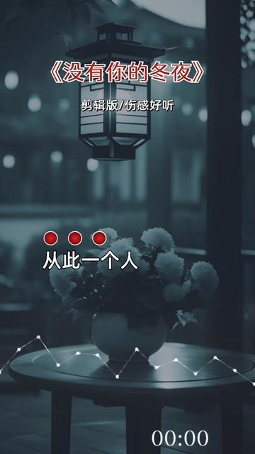 伤感音乐#没有你的冬夜#听完这首歌就放手吧