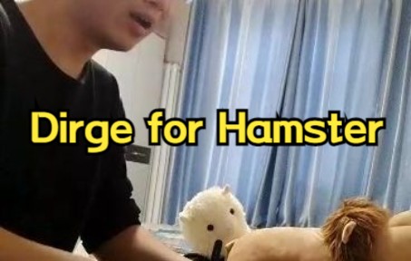 Dirge for Hamster 《挽歌》哔哩哔哩bilibili