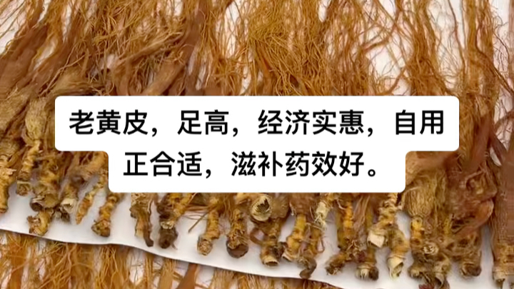 老黄皮,足高,经济实惠,自用正合适,滋补药效好.