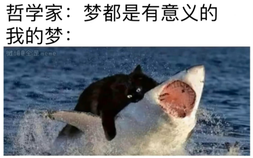 [图]meme合集 │ 第52期