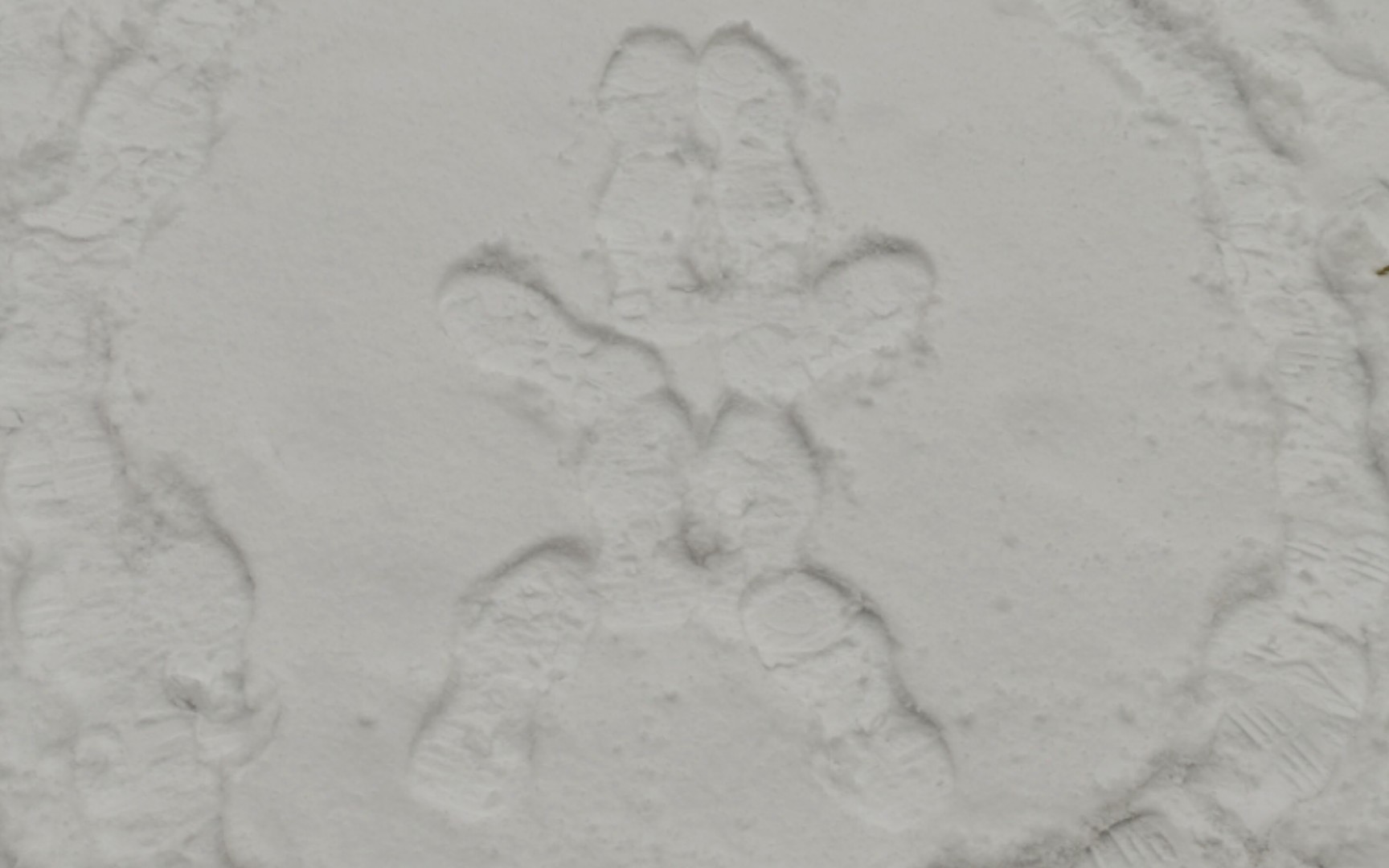 看了那么久的雪地画兔子,终于亲自踩出来了
