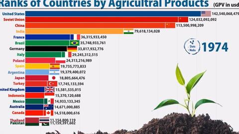 统计数据 1960年至今各国农产品总产值排名 联合国粮农组织 樱落网
