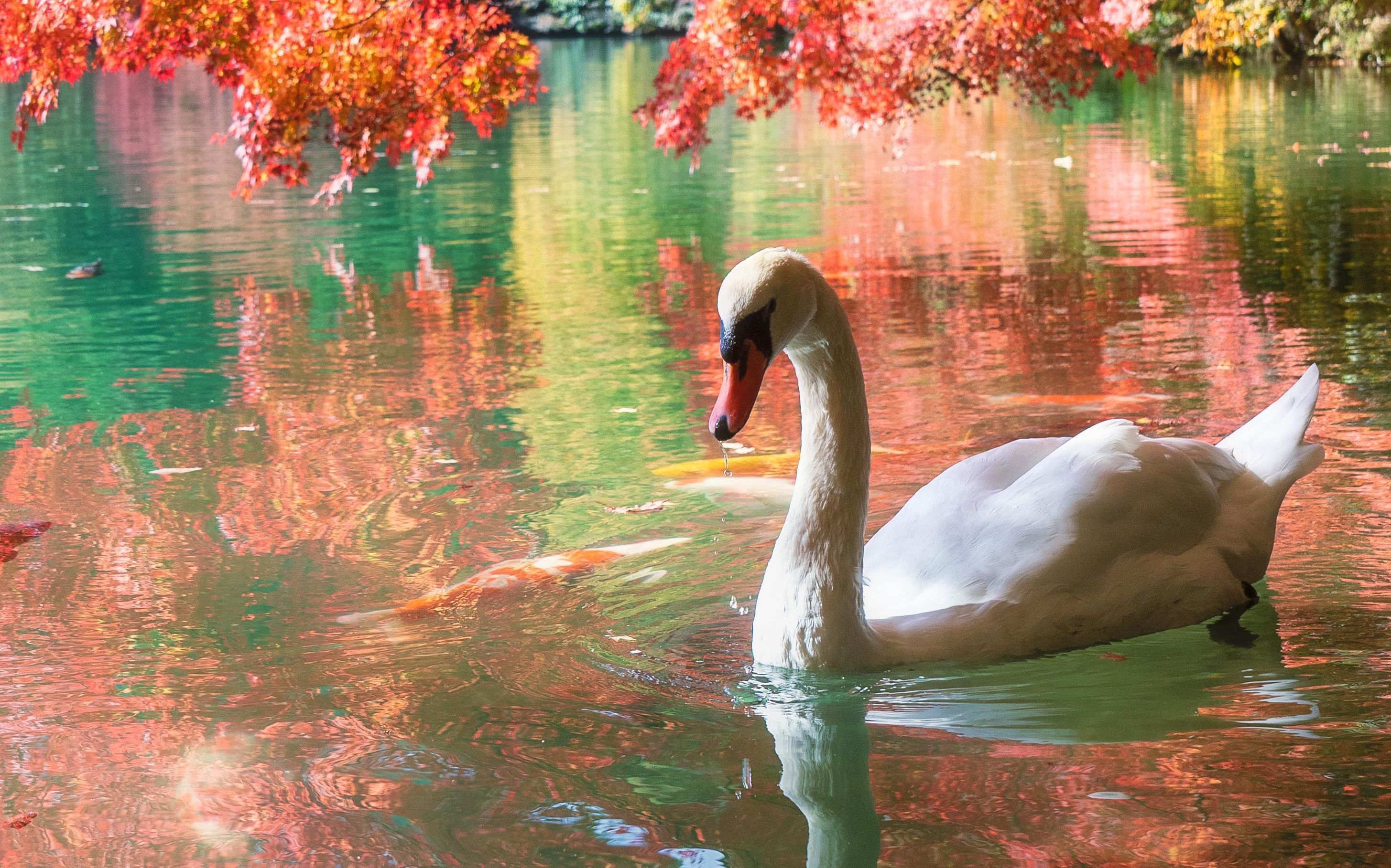 审美提升——日本摄影师kyoko1903风光摄影作品欣赏4