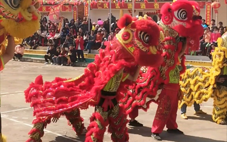 [图]醒狮扭扭头，福寿便无边。醒狮抖抖身，吉祥就到家；过新年呀，咚咚咚咚锵，喜洋洋呀，咚咚咚咚锵，鞭炮声声锣鼓响，咚锵咚咚锵！大街小巷喜洋洋呀，幸福的生活甜呀甜又香。