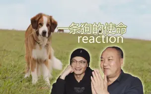 Download Video: 一条狗的使命reaction，不可思议的轮回竟是为了活在当下