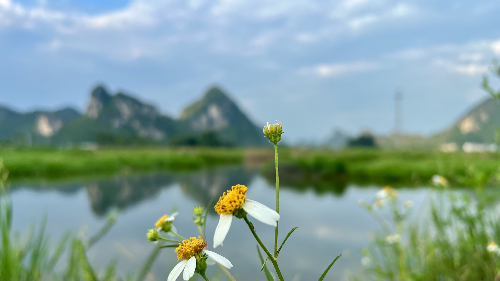 孤獨,不單是指獨自一人去生活,還指獨特的人生體驗