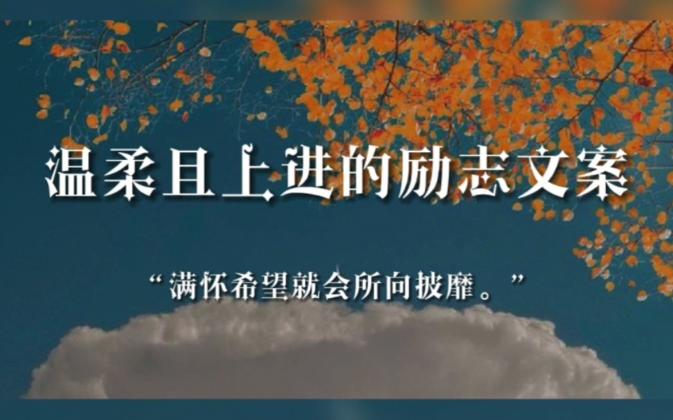 “如果你瞄准月亮,即使迷失,也是落在璀璨星辰之间.” |温柔且上进的励志文案哔哩哔哩bilibili