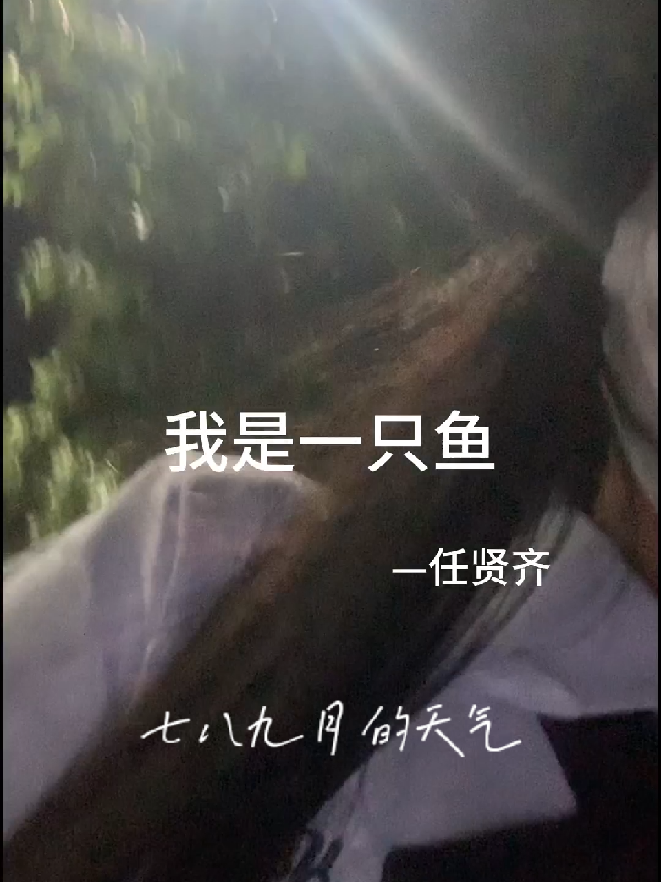 我是一只鱼95