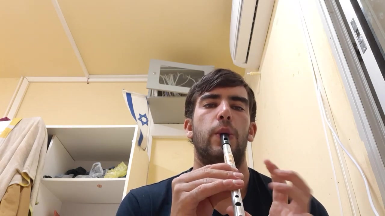 【celtic哨笛】大帆船高音d - 波尔卡two irish polkas on tin d