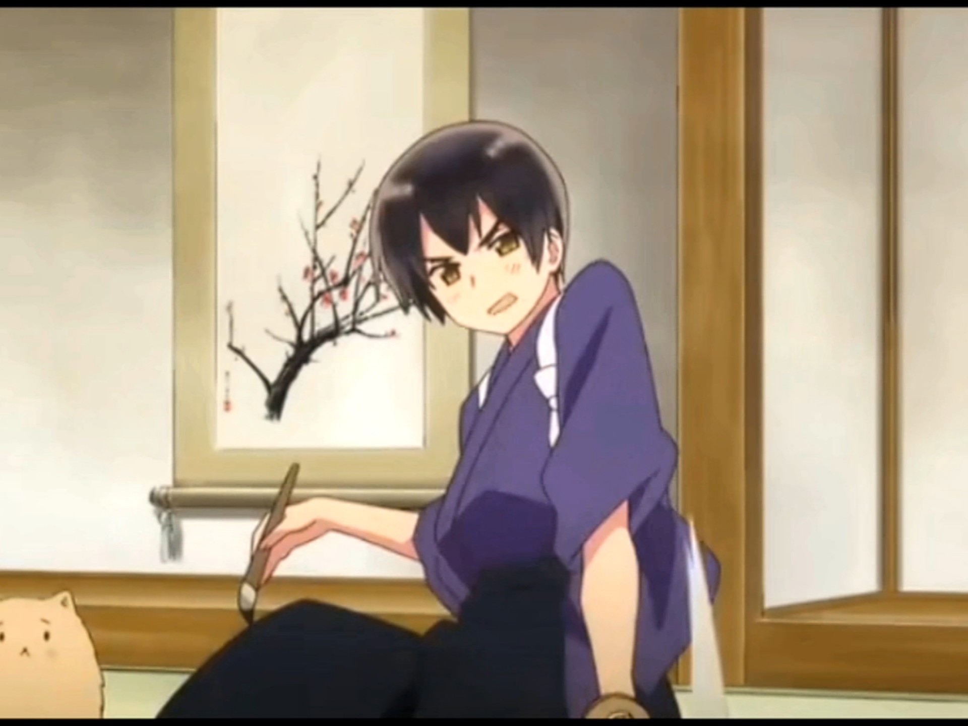 本田菊混剪 ⊹꙳ ˶˙ᵕ˙˶ ⊹꙳