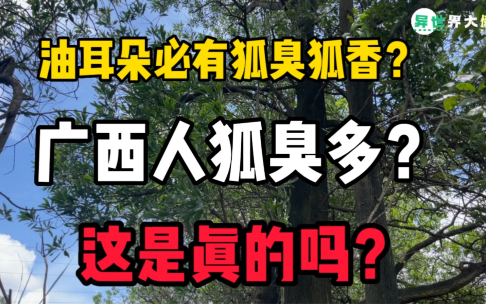 广西人狐臭多?油耳朵必有狐臭狐香?真正广西人告诉你真实!我真的有狐臭啊!哔哩哔哩bilibili