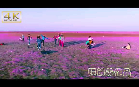 鄱阳湖国家湿地公园无念岛哔哩哔哩bilibili