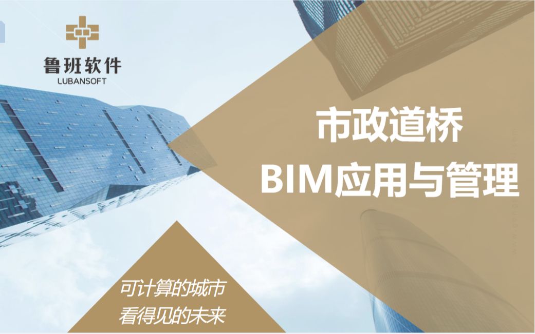 市政道桥BIM应用与管理哔哩哔哩bilibili