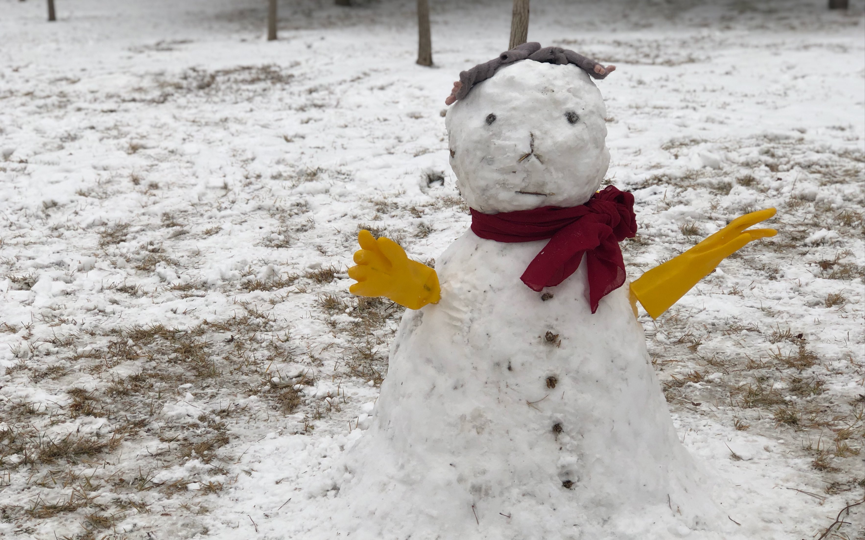 2019的第一场雪鸭!