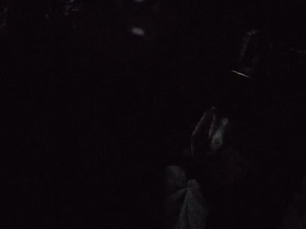 黑暗中的人影,观察中