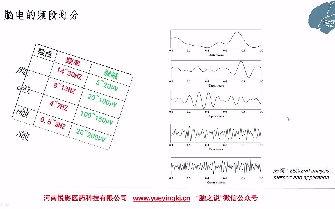 悦影科技EEG/ERP基础知识系列讲座第19讲:浅谈脑电中的theta振荡哔哩哔哩bilibili