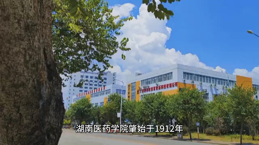 2024年湖南医药学院成人高考专业和课程