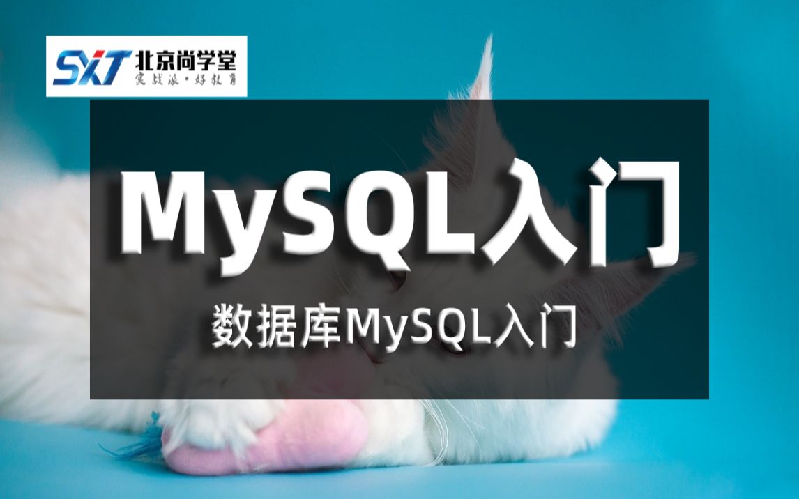 MySQL新手入门教程详解学习数据库必看MySQL视频教程MySQL数据库基础知识MySQL新手入门教程详解数据库MySQL入门MySQL数据库基础哔哩...