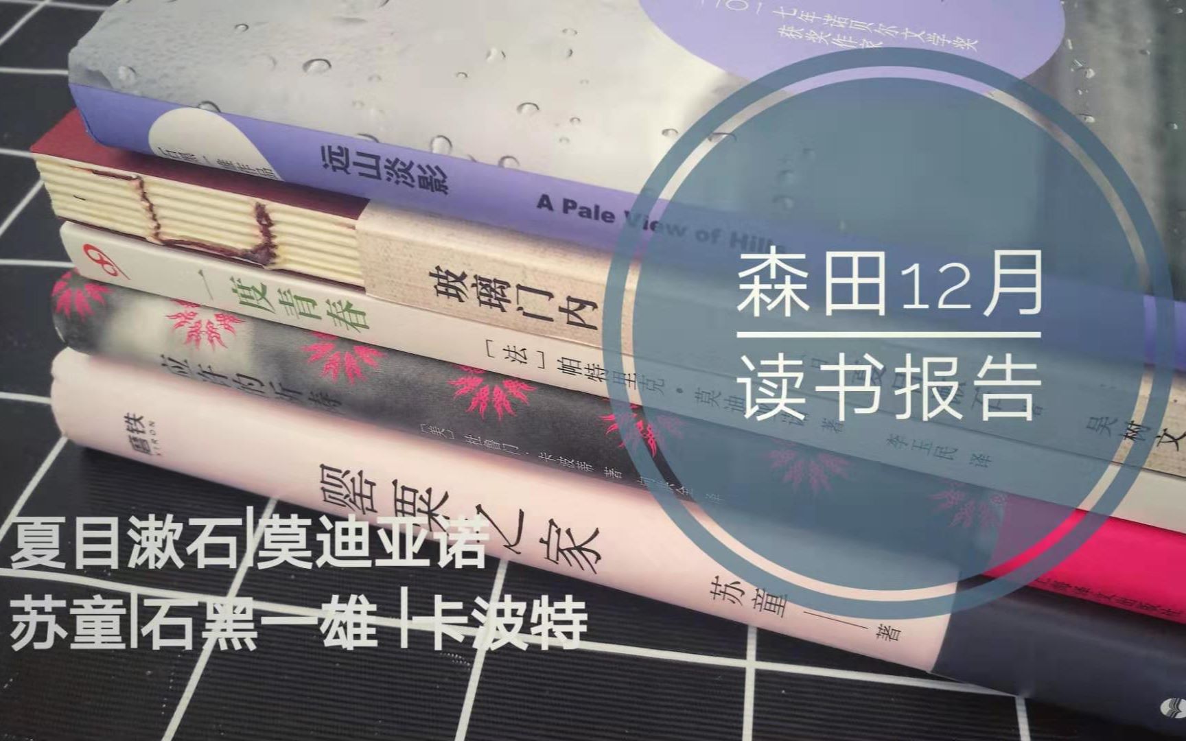 19年最后的读书报告|苏童|罂粟之家|石黑一雄|莫迪亚诺◎读书报告哔哩哔哩bilibili