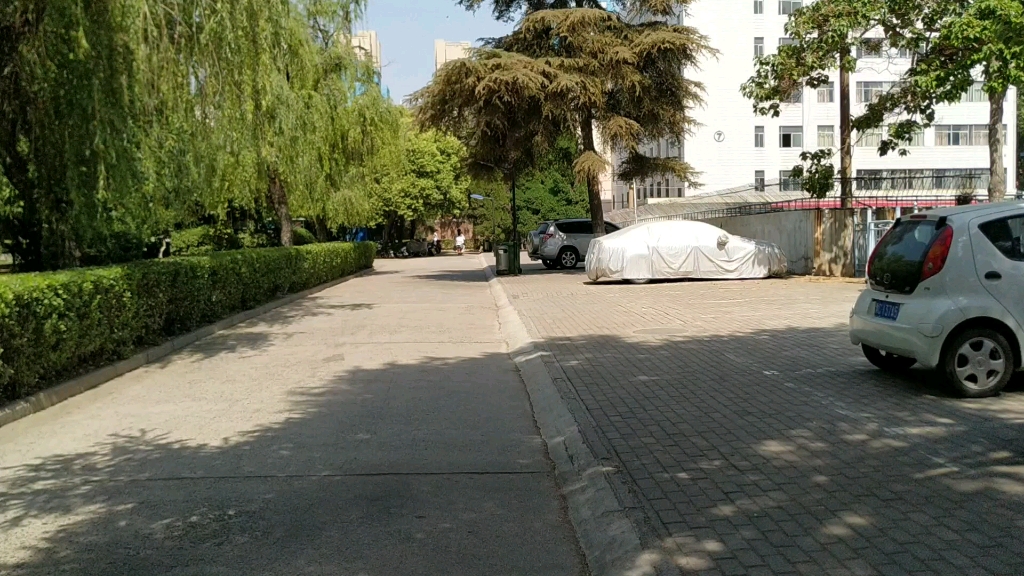 河南科技大学 西苑