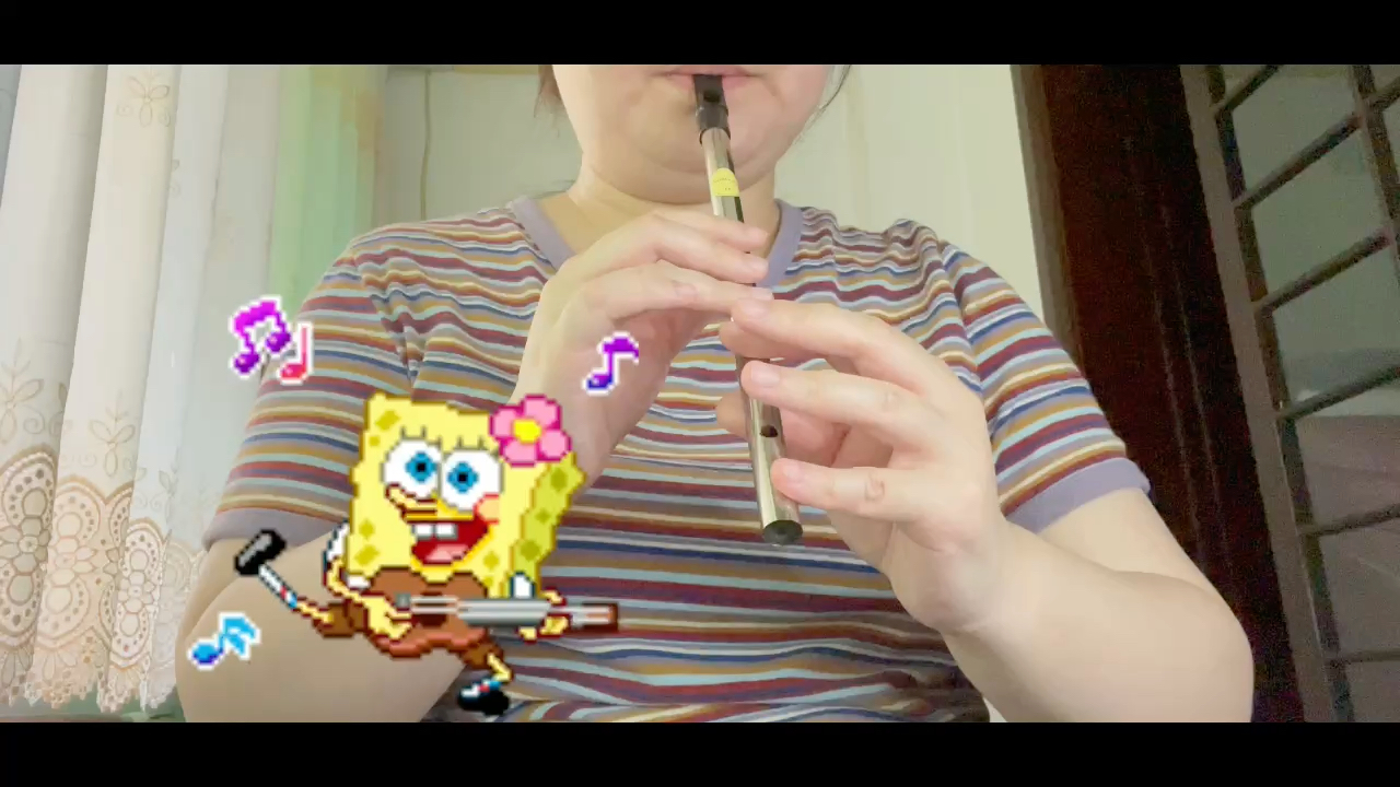 [图]《The rake hornpipe》SpongeBob 爱尔兰哨笛