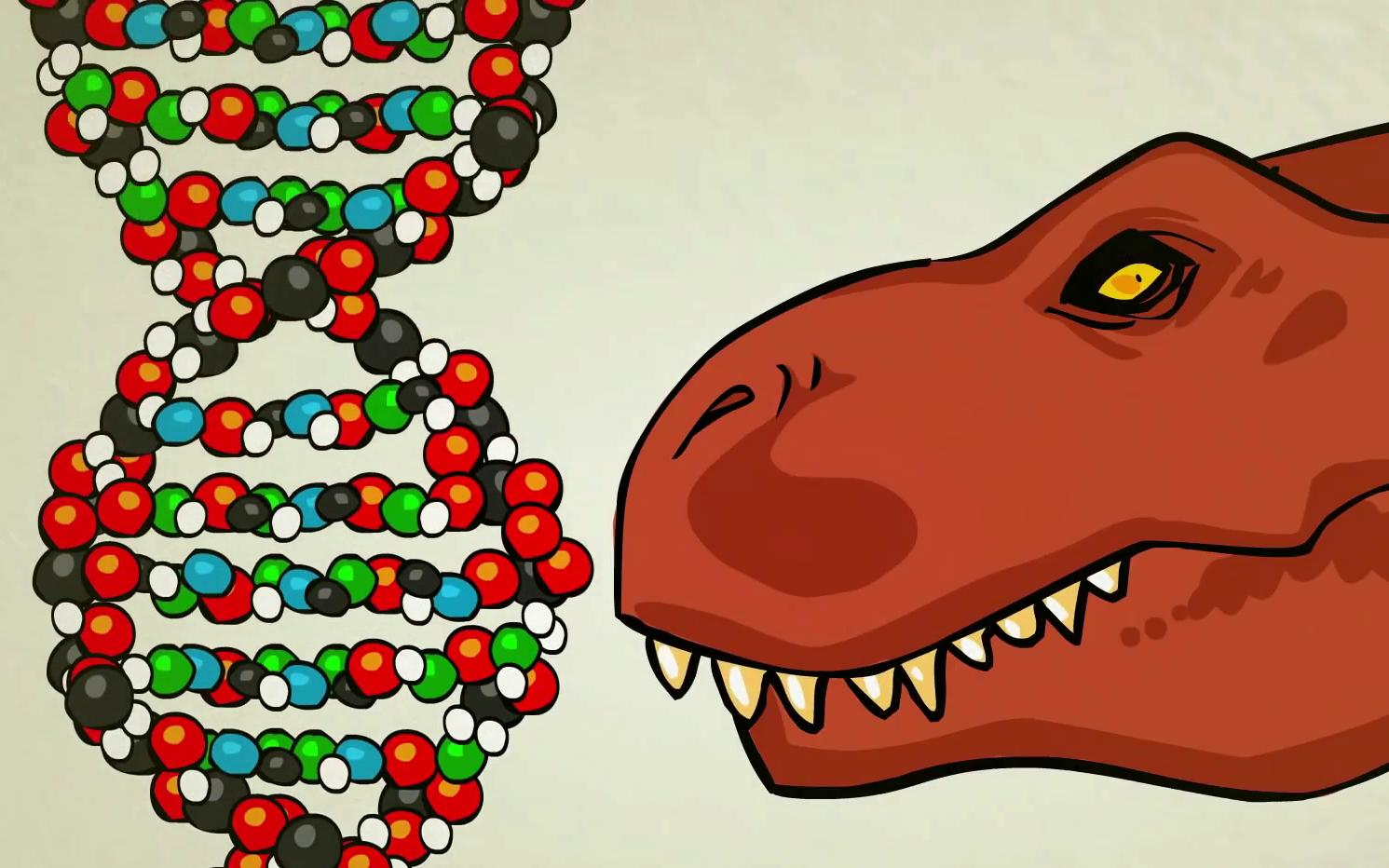 [图]什么是染色体？染色体、DNA、基因科普