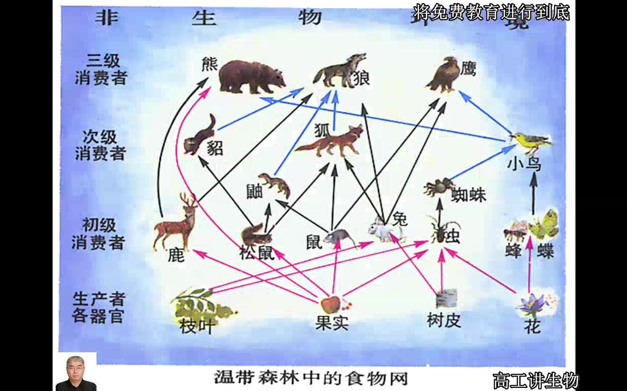 高工讲生物高一生物1必修高中生物分子与细胞哔哩哔哩bilibili