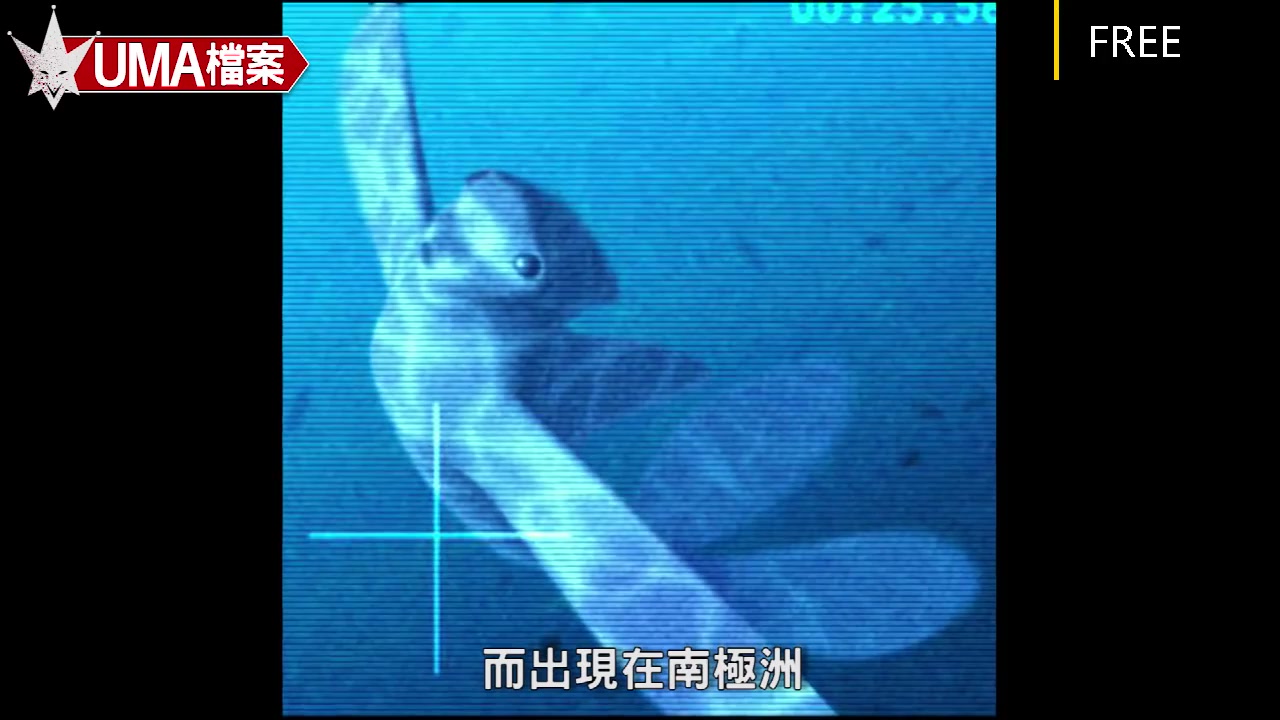 UMA档案:NINGEN未确认生物哔哩哔哩bilibili