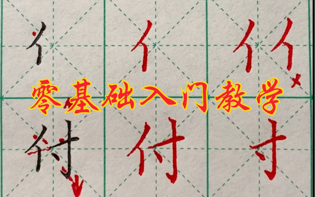 硬笔楷书零基础入门教学,偏旁部首——单人旁