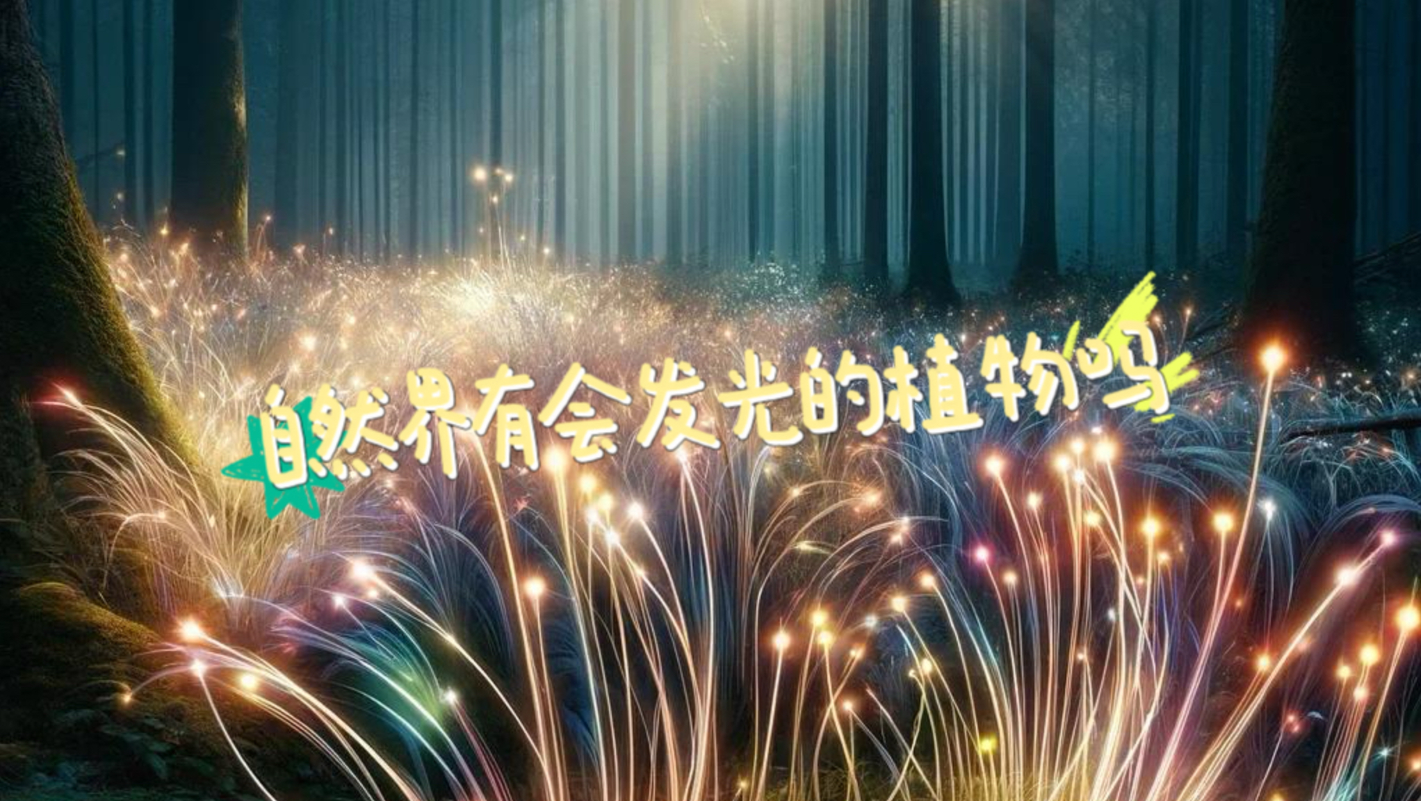 自然界有会发光的植物吗