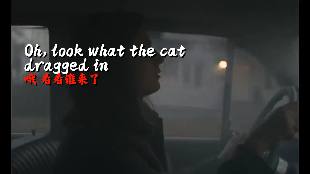 look what the cat dragged in 哦 看看谁来了