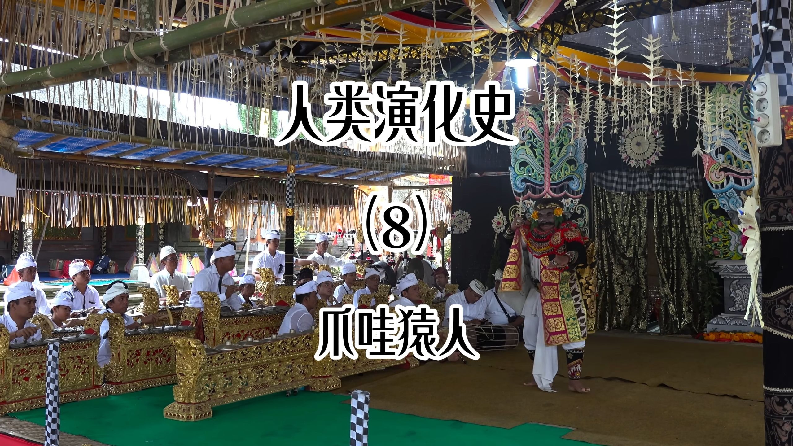 人类演化史(8)爪哇猿人