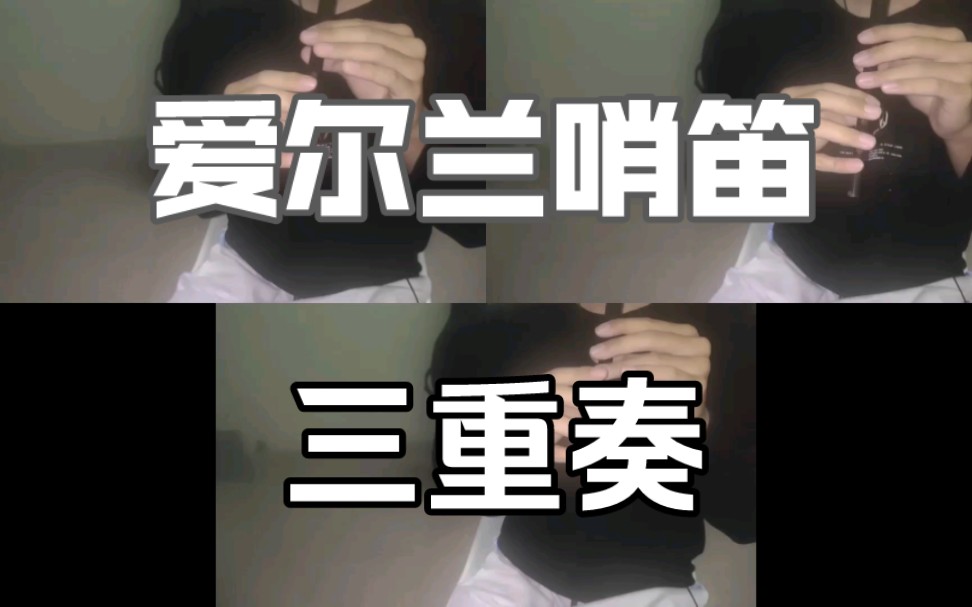 【哨笛】写给哨笛的三重奏《憧憬》哔哩哔哩bilibili