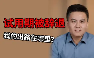 Télécharger la video: 【打工人系列】试用期被辞退我的出路在哪里？