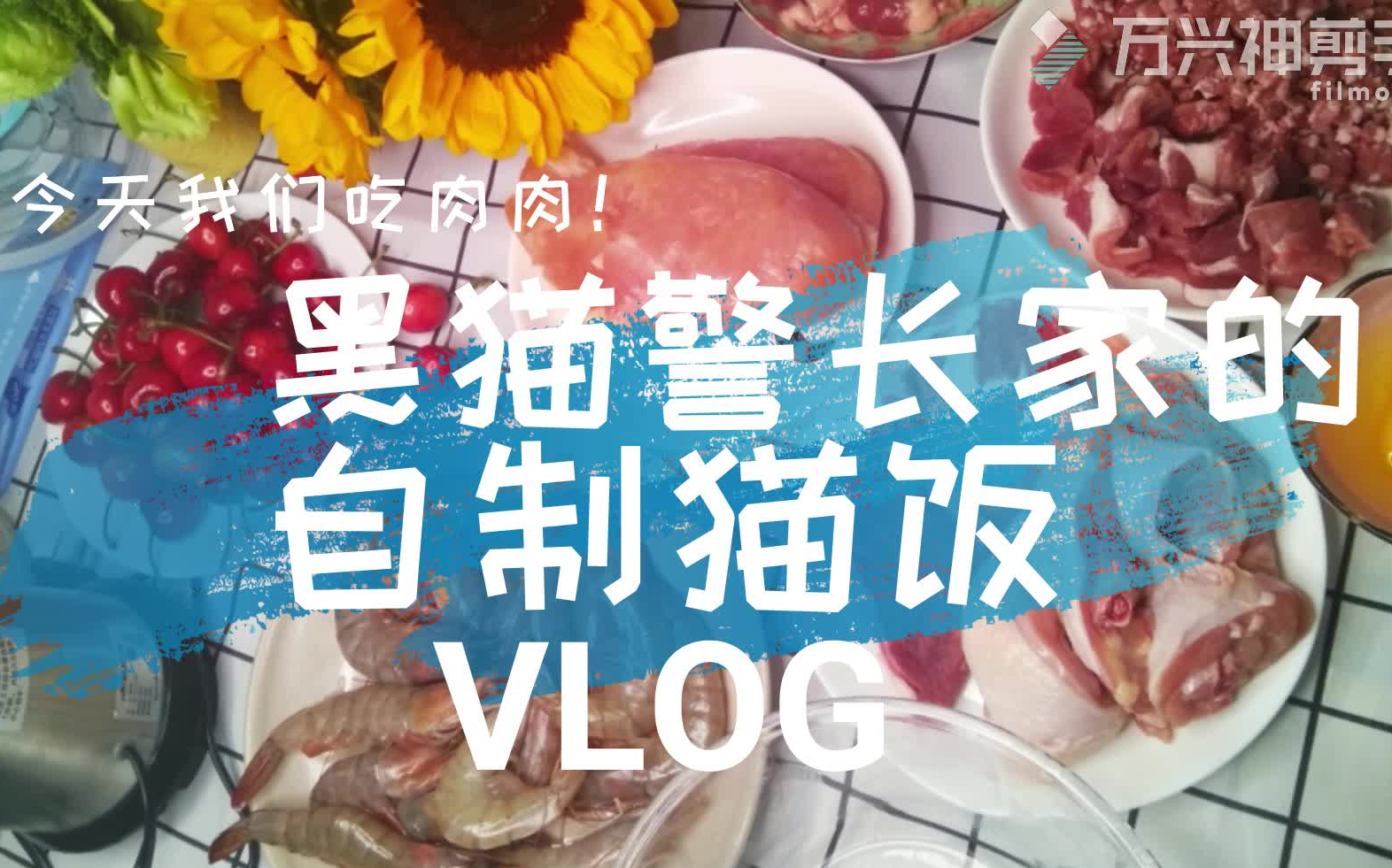 黑猫警长家的自制猫饭食堂