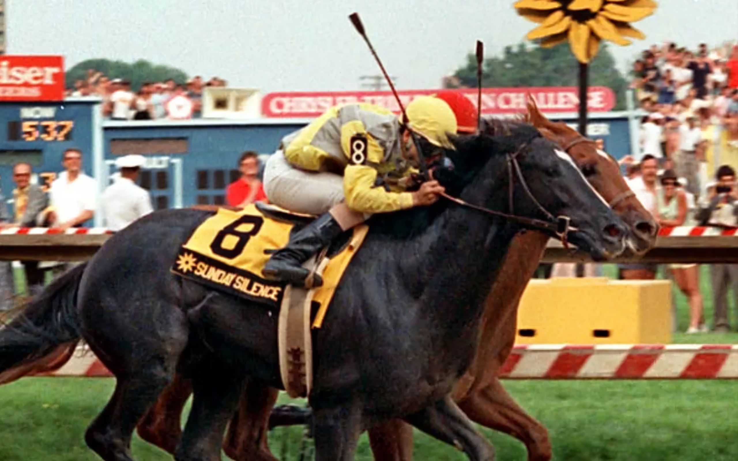 1) 【周日宁静】