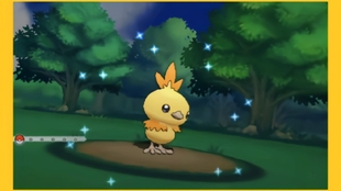 老e同学 5 290 Srs Oras初始闪光御三家 闪光木守宫get 哔哩哔哩 つロ干杯 Bilibili